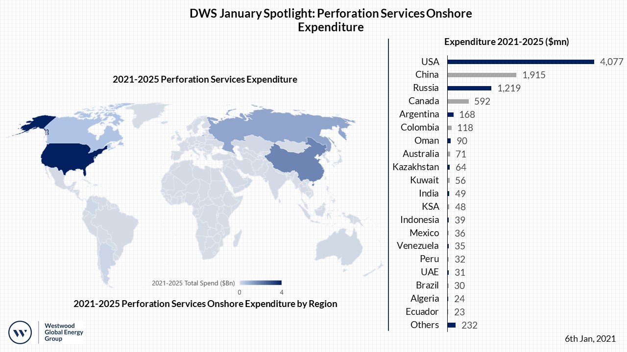 DWS Spotlight Jan 2021