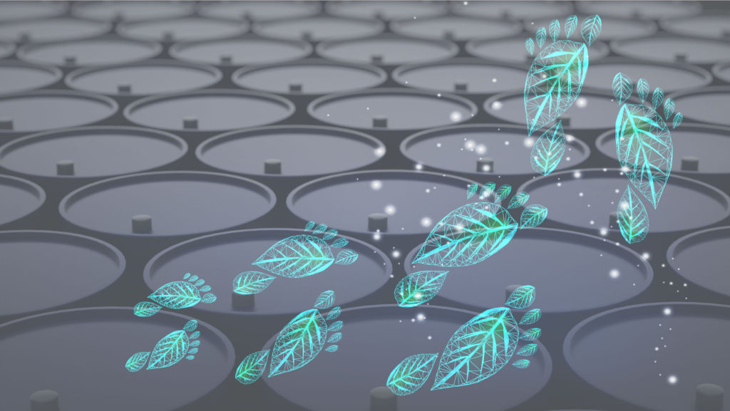 ET-Insights-Newsletter-Web-Header-Green-Barrel