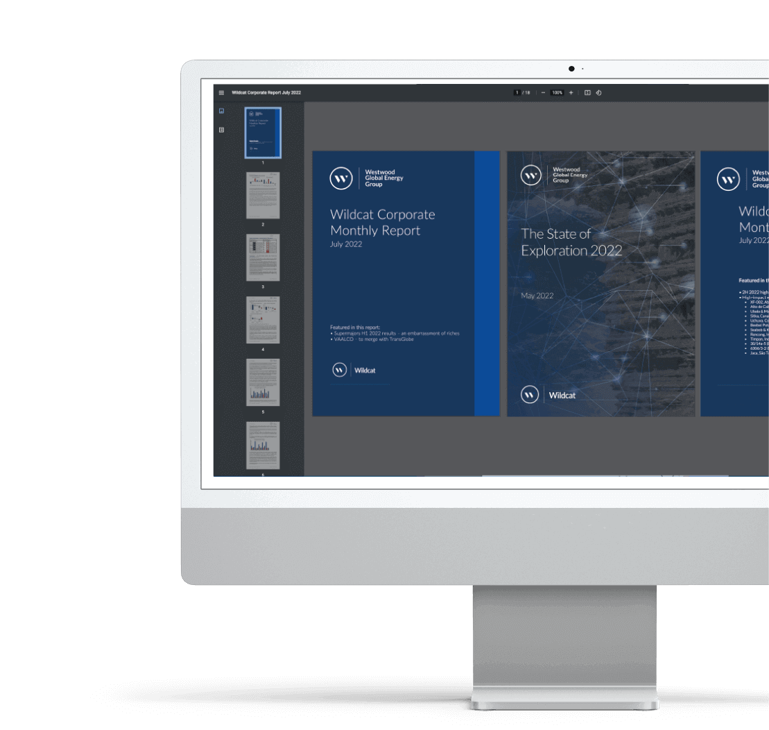 Wildcat Reports Graphic - Global oil and gas exploration, farm outs and appraisal activity and insights into the drivers behind exploration strategy and performance.