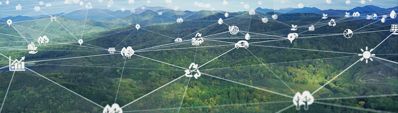 Explaining voluntary carbon offsets