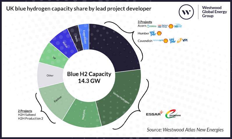 UK blue hydrogen capacity share by lead project developer_ v2