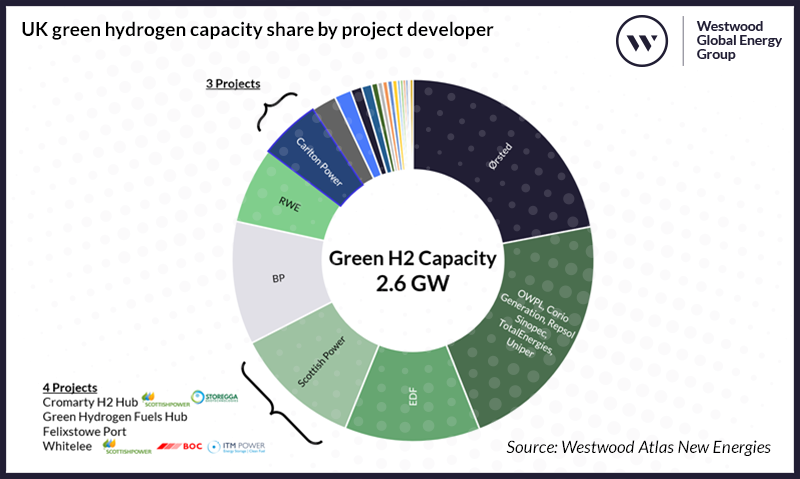 UK green hydrogen capacity share by project developer_ v2