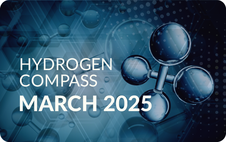 Hydrogen Compass Monthly European Newsletter, March 2025