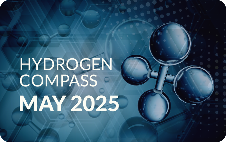 Hydrogen Compass Monthly May 2025