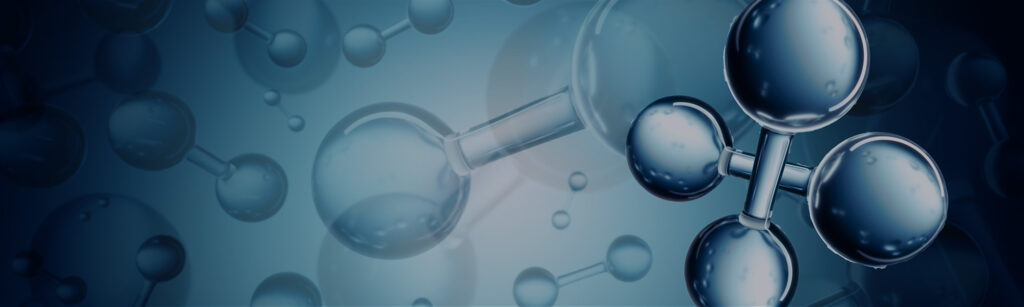 Hydrogen Compass Monthly Newsletter