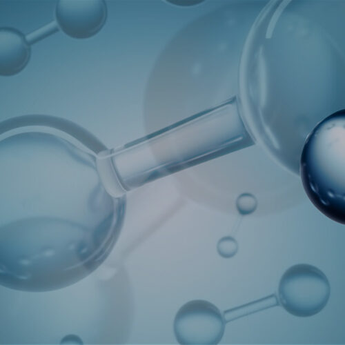 Hydrogen Compass Monthly Newsletter