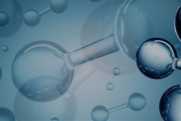 Hydrogen Compass Monthly Newsletter