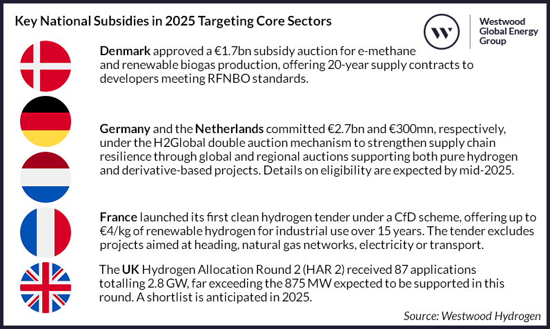 Key National Subsidies in 2025 Targeting Core Sectors