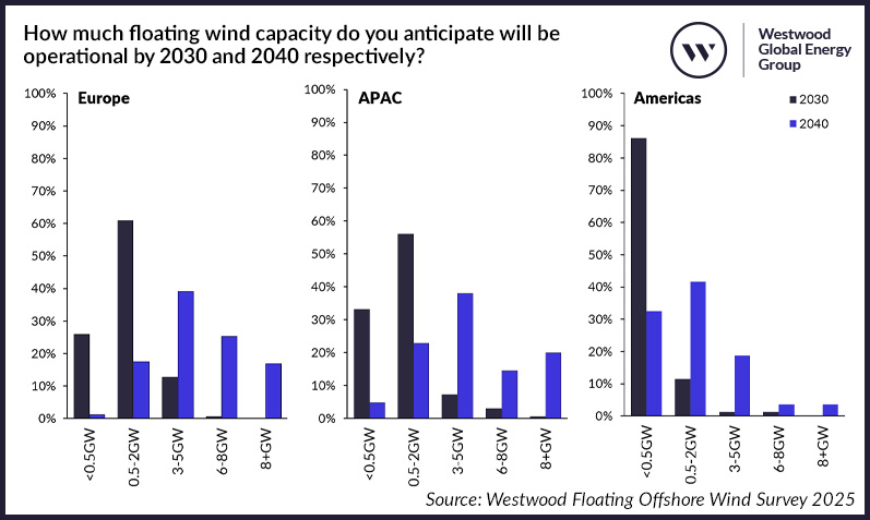 How much floating wind capacity do you anticipate will be operational by 2030 and 2040 respectively